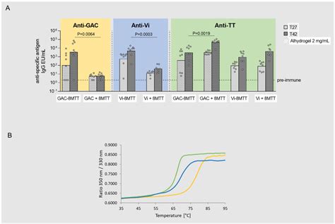 Testing a Recombinant Form of Tetanus Toxoid as a Carrier Protein for ...
