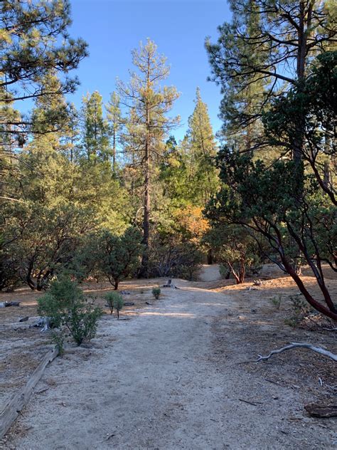 Hiking The Perimeter Loop Trail, Idyllwild Nature Center (Idyllwild, CA ...