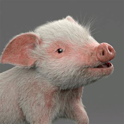 英国妹子把小猪猪养到80kg依然宠爱无比：就当它是自己孩子！ | 英国那些事儿