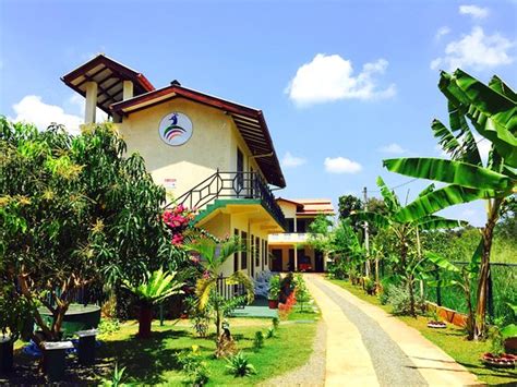 NEW PEACOCK RESORT (Dambulla) - B&B Reviews, Photos, Rate Comparison ...