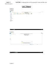 Encrypting File System BitLocker 的图像结果