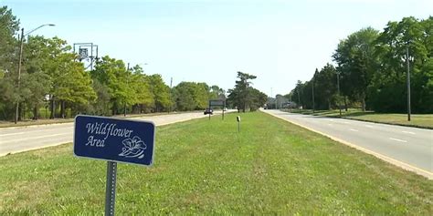 Native prairie project that was attracting endangered monarch ...