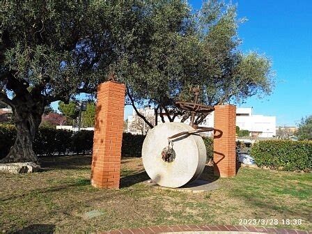 ALMAZARA DE LA CÁMARA AGRARIA Guide (2026) All You Need to Know BEFORE ...