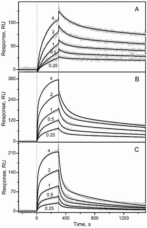 Erythropoietin Interacts with Specific S100 Proteins