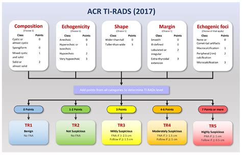 Explainable Automated TI-RADS Evaluation of Thyroid Nodules