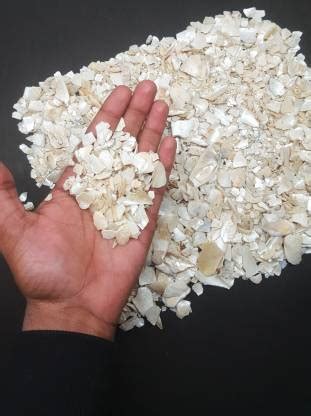 AquaRocks Crushed Oyster Shells for Aquarium Decoration, Aquascaping ...