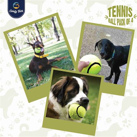 Goofy Tails Sport Squeaky Tennis Ball for Medium/Large Dogs| Pack of 4 ...