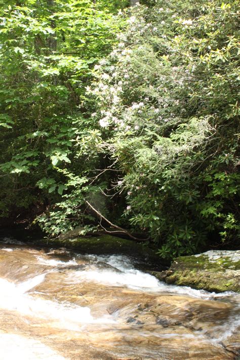 Is Upper Creek Falls Near Morganton The Best Swimming Hole in the State ...
