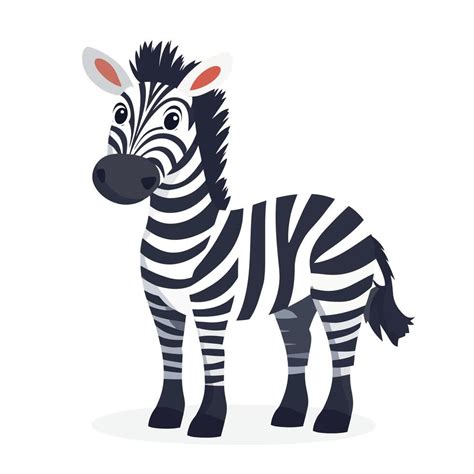 Image result for Zebra Cartoon