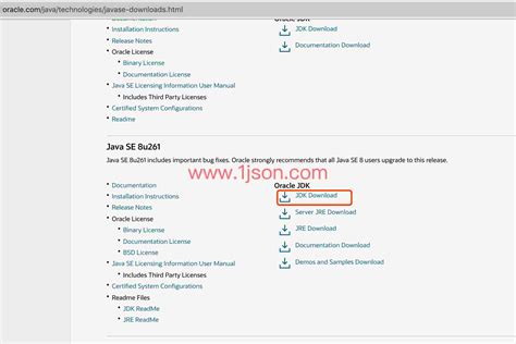 Installing Java JDK 的图像结果