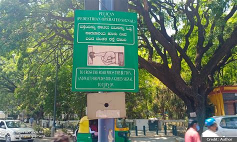 Not all Pelicans squawk in the city – The Softcopy