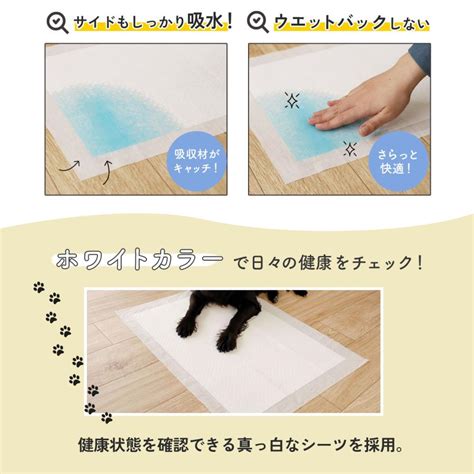 Image result for Knapsack Problem Code
