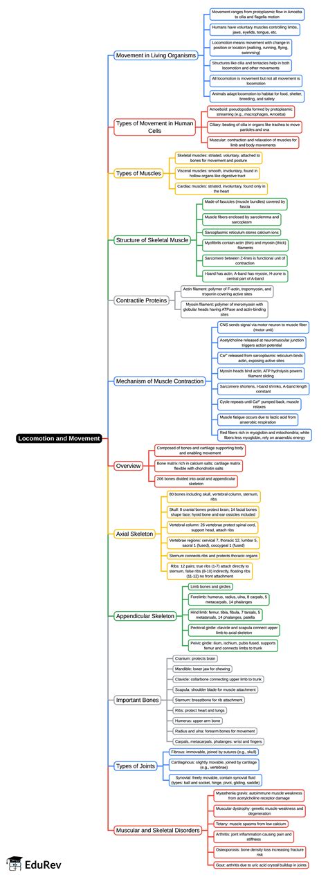 Mind Map: Locomotion and Movement - Biology Class 11 - NEET PDF Download