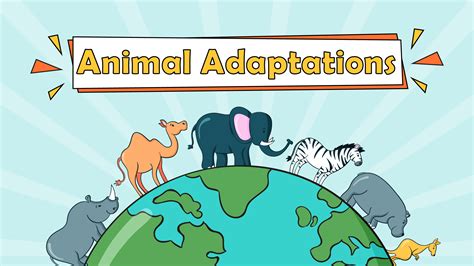 STEM Teaching Resources: Essential Tools and Strategies for Educators ...