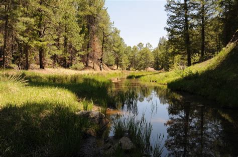 Arizona Hiking: BLUE RIDGE PASSAGE #28 of the ARIZONA TRAIL