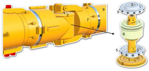 Development of Modular Bio-Inspired Autonomous Underwater Vehicle for ...