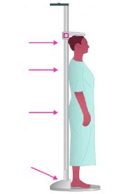 Test and Measurement in Sports Chapter Notes - Physical Education Class ...