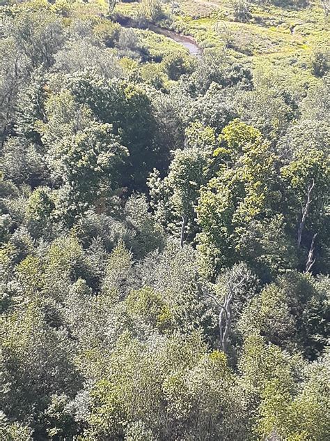 Pennsylvania Wilds (Ridgway) - 2022 What to Know Before You Go (with ...