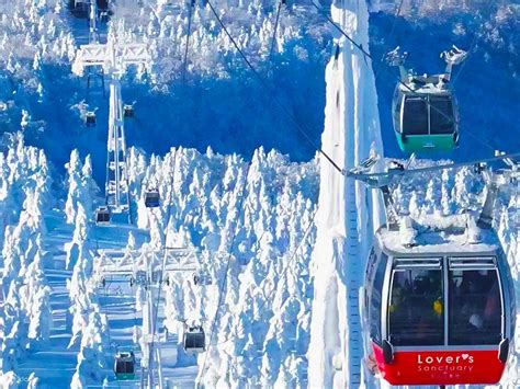 Ginzan Onsen & Zao Snow Monster Ropeway & Nikko Toshogu Shrine & Ouchi ...