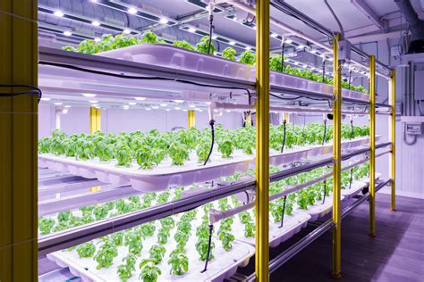 Vertical farming to optimise sustainable food production | Parke