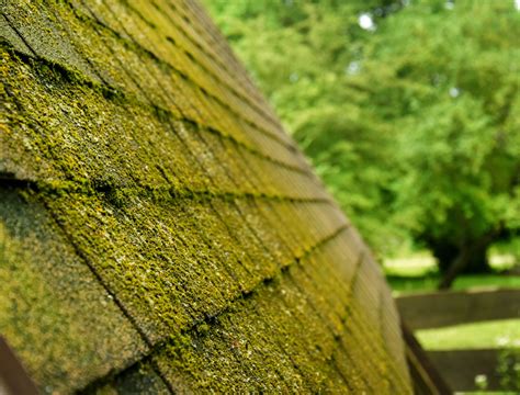 How To Remove Moss From a Roof
