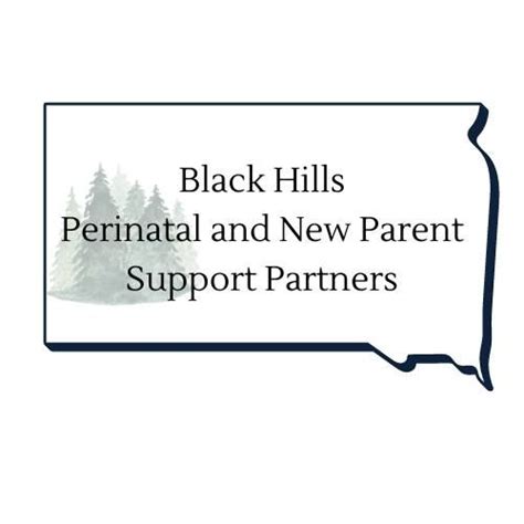 December 2024 Meeting- Black Hills Perinatal and New Parent Support ...