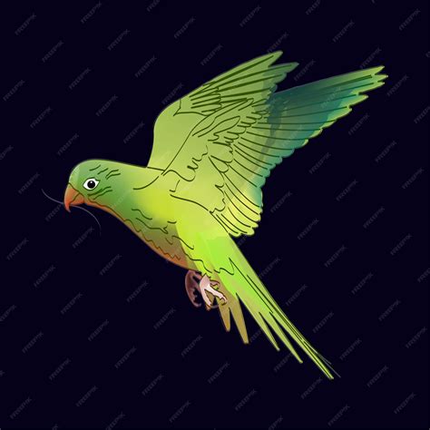 Image result for How to Draw Parrot Flying