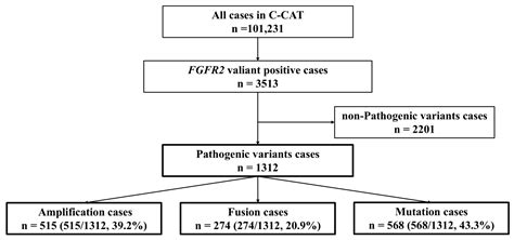 FGFR2 Might Be a Promising Therapeutic Target for Some Solid Tumors ...