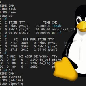 How to Run the Job by Using Linux Command 的图像结果