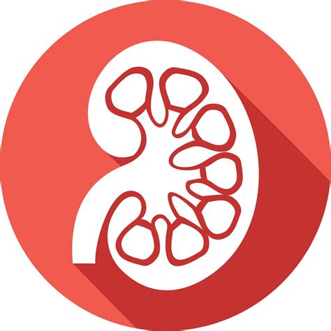 Find Online Doctors to Book Doctor Appointment Online – Docton