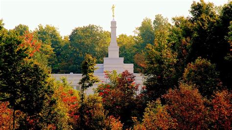 Hānuere 20–26: “Ka Tāhuri Atu ngā Ngākau o ngā Tamariki ki ō Rātou ...