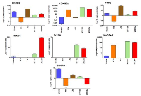 Identification of Key Genes Associated with Progression and Prognosis ...