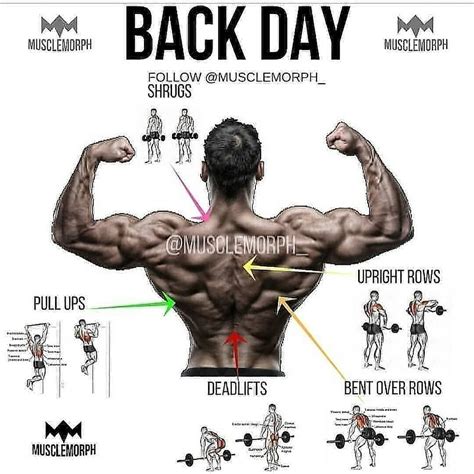 Bodybuilding Workouts 的图像结果