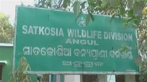 8-yr-old killed in crocodile attack in Odisha