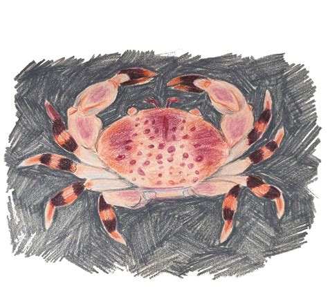 Why Crab Is the Most Luxurious Thing to Eat in Winter | Vogue