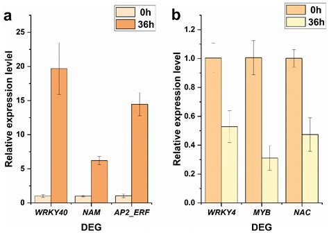 Physiological and Transcriptome Analysis on Diploid and Polyploid ...
