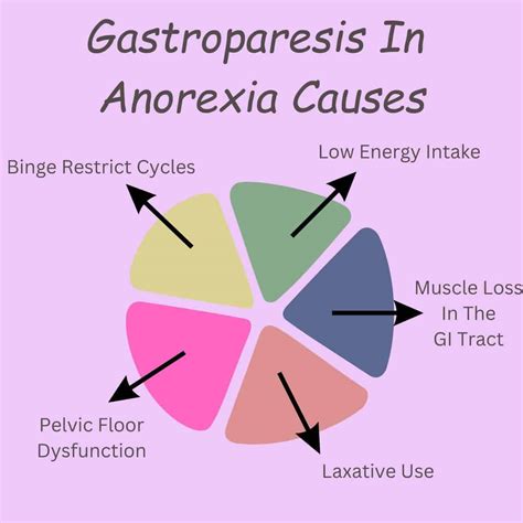 Lupus Causes Gastroparesis at Ryan Fitzsimons blog