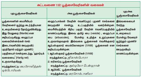 பூஞ்சைகள் - மைல்கற்கள், பொதுப்பண்புகள், இனப்பெருக்க முறைகள், வகைப்பாடு ...