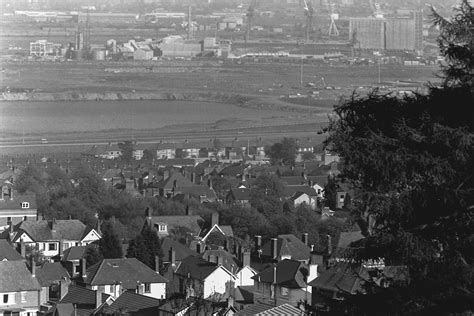 Scanning Disk Negatives 的图像结果