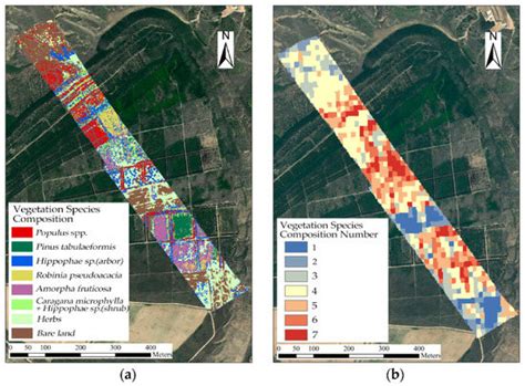 Revealing the Structure and Composition of the Restored Vegetation ...