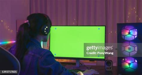 Computer Simulation Greenscreen 的图像结果