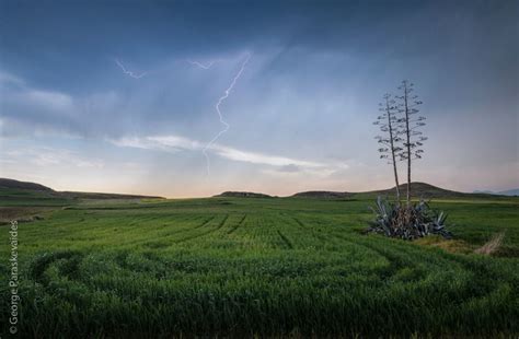 Image result for Neo Luminar Sample