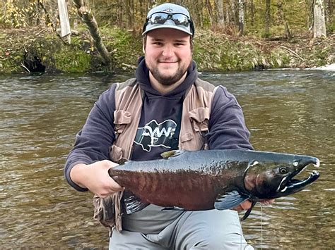 Local Expert Fishing Report: Salmon River Fishing Report- Where are all ...
