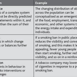 Image result for Complex Systems Examples