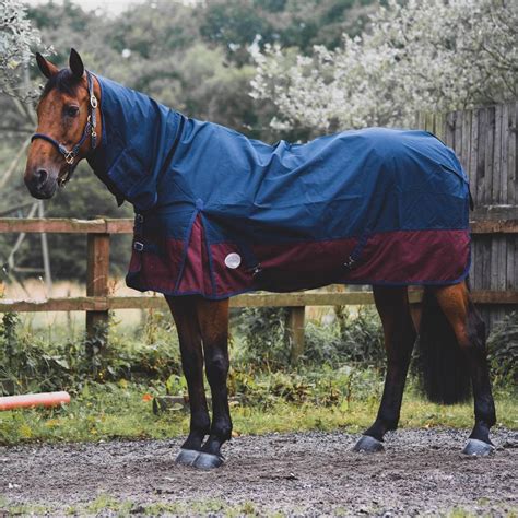 Buy Equitack Turnout Rug for Horses | 600D Polyester, Lightweight 0g No ...