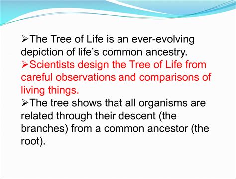 Tree of Life 的图像结果