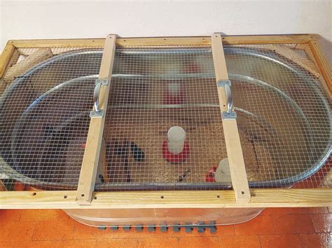 Image result for Making a Chick Brooder