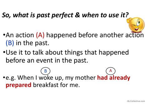 Past Perfect Software Tutorials 的图像结果