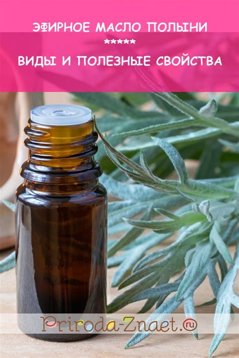 Масло полыни: польза и применение | Масло, Эфирные масла, Ароматерапия