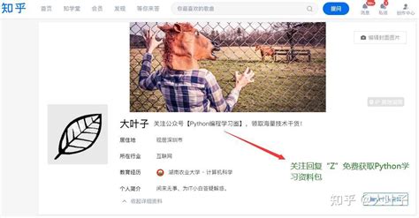 From Pathlib Import Path 的图像结果